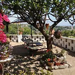 D'hotes Les Terrasses Du Soleil Bed & Breakfast Cagnes-sur-Mer